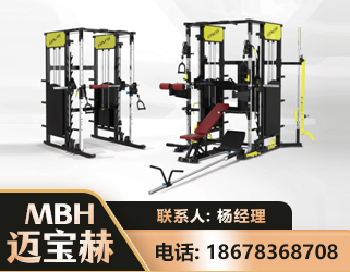 德州多功能综合训练器