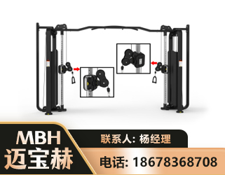 德州大飞鸟训练器